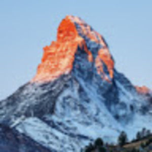 Meet your Posher, Samuel